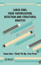 Large Ions - Their Vaporization, Detection & Structural Analysis