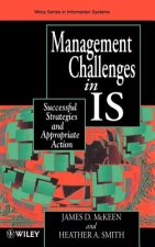 Management Challenges in IS - Successful Strategies in Appropriate Action