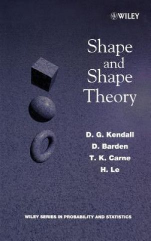 Shape & Shape Theory