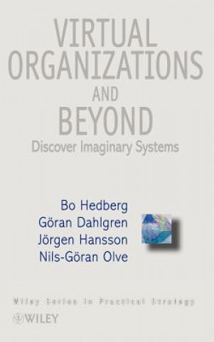Virtual Organizations & Beyond - Discover Imaginary Systems