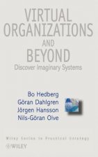 Virtual Organizations & Beyond - Discover Imaginary Systems