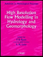 High Resolution Flow Modelling in Hydrology and Geomorphology