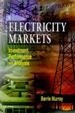 Electricity Markets - Investment Performance & Analysis