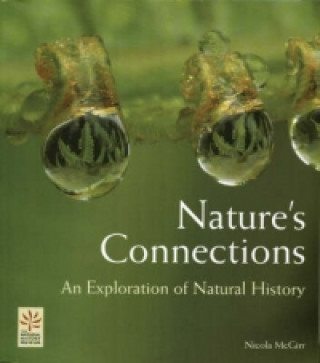 Nature (TM)s Connections