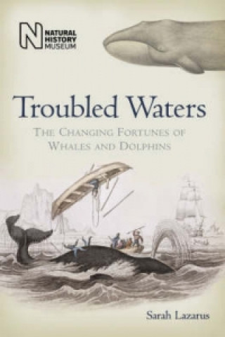 Troubled Waters