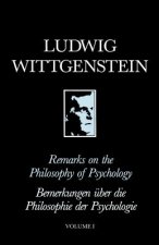 Remarks on the Philosophy of Psychology Volume I