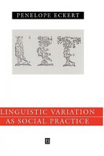 Linguistic Variation as Social Practice - The Linguistic Construction of Identity in Belten High