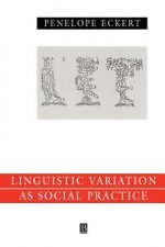 Language Variation as Social Practice - The Linguistic Construction of Identity in Belten High