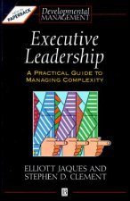 Executive Leadership - A Practical Guide to Managing Complexity