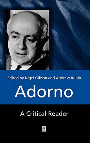 Adorno: A Critical Reader