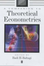 Companion to Theoretical Econometrics