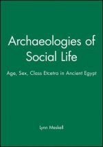 Archaeologies of Social Life - Age, Sex, Class et cetra in Ancient Egypt