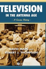 Television in the Antenna Age - A Concise History