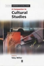 Companion to Cultural Studies