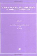 Voices, Spaces, and Processes in Constitutionalism