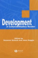 Development - A Cultural Studies Reader