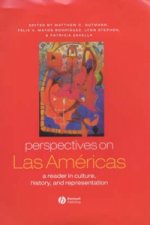 Perspectives on Las Americas - A Reader in Culture , History and Representation