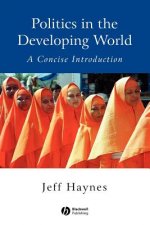 Politics in the Developing World - A Concise Introduction 2e