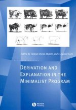 Derivation and Explanation in the Minimalist Progr am