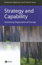 Strategy and Capability - Sustaining Organizational Change