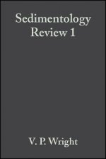 Sedimentology Review 1
