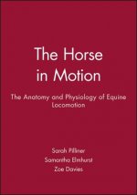 Horse in Motion