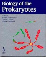 Biology of the Prokaryotes