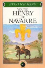 Young Henry of Navarre