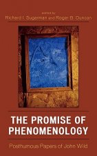 Promise of Phenomenology