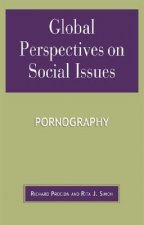 Global Perspectives on Social Issues: Pornography