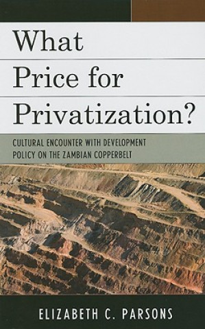 What Price for Privatization?