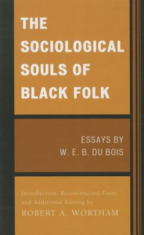 Sociological Souls of Black Folk
