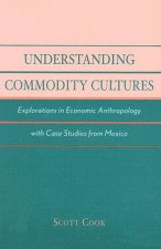 Understanding Commodity Cultures