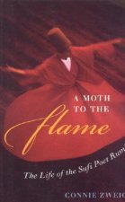 Moth to the Flame