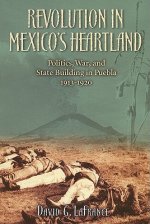 Revolution in Mexico's Heartland