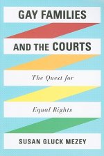 Gay Families and the Courts