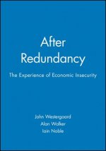 After Redundancy - The Experience of Economic Insecurity