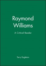 Raymond Williams - Critical Perspectives