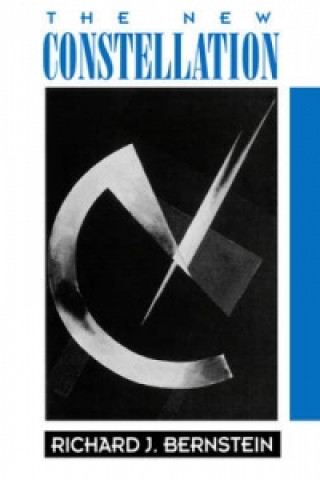 New Constellation - The Ethical-Political Horizons  of Modernity/Postmodernity