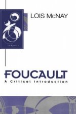 Foucault - A Critical Introduction