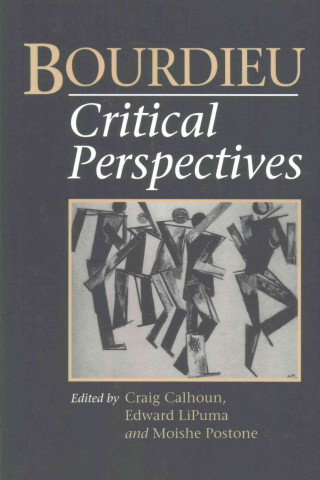 Bourdieu Critical Perspectives
