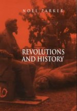 Revolutions and History - An Essay in Interpretation
