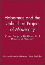 Habermas and the Unfinished Project of Modernity -  Critical Essays on The Philosophical Discourse of  Modernity
