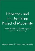Habermas and the Unfinished Project of Modernity -  Critical Essays on the Philosophical Discourse of  Modernity