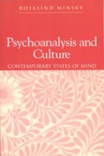 Psychoanalysis and Culture - Contemporary States of Mind