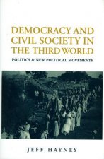Democracy and Civil Society in the Third World - Politics and New Political Movements