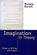 Imagination in Theory - Essays on Writing and Culture