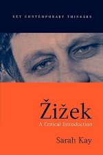 Zizek - A Critical Introduction