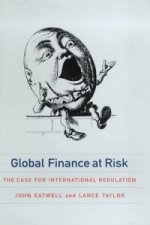 Global Finance at Risk