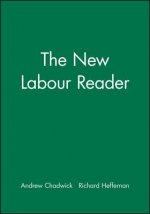 New Labour Reader